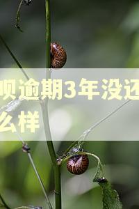 花呗逾期3年没还会怎么样