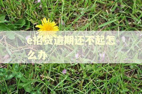 e招贷逾期还不起怎么办