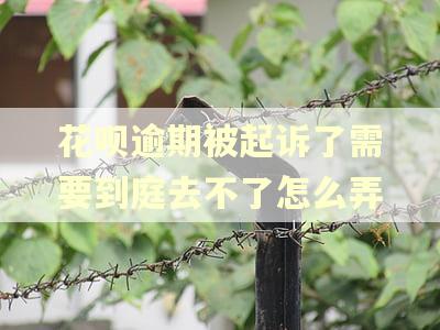 花呗逾期被起诉了需要到庭去不了怎么弄