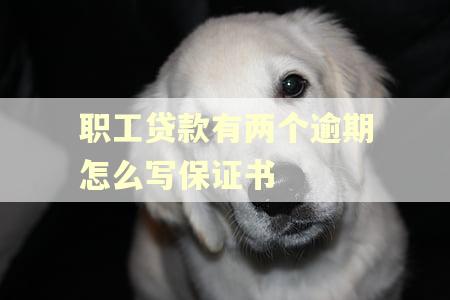 职工贷款有两个逾期怎么写保证书