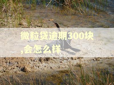 微粒贷逾期300块,会怎么样