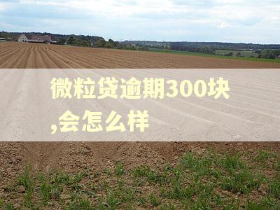 微粒贷逾期300块,会怎么样