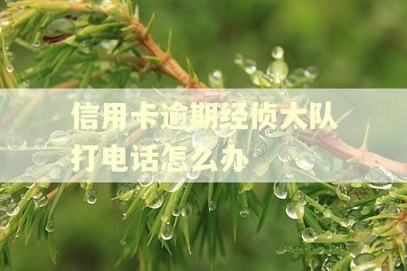 信用卡逾期经侦大队打电话怎么办 信用卡逾期经侦大队打电话怎么办