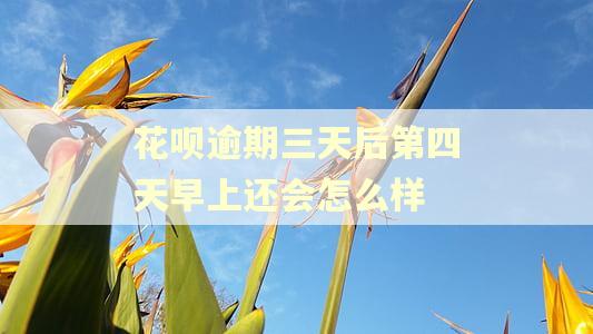 花呗逾期三天后第四天早上还会怎么样