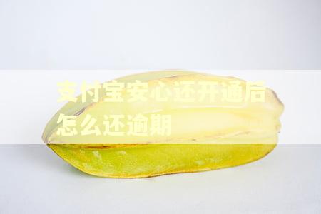 支付宝安心还开通后怎么还逾期
