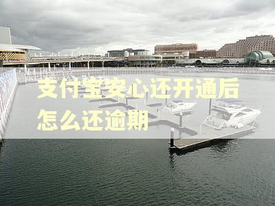 支付宝安心还开通后怎么还逾期 支付宝安心还开通后怎么还逾期