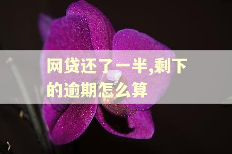 网贷还了一半,剩下的逾期怎么算