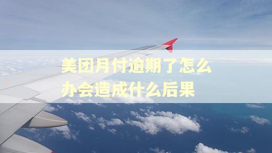 美团月付逾期了怎么办会造成什么后果