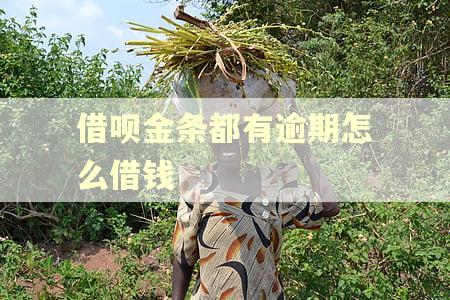 借呗金条都有逾期怎么借钱