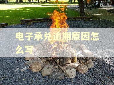电子承兑逾期原因怎么写