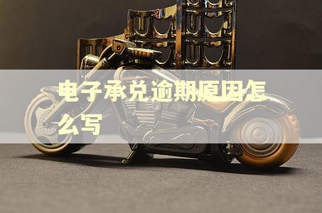 电子承兑逾期原因怎么写