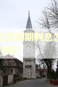 微粒贷逾期利息怎么算的呀?