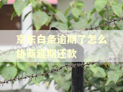 京东白条逾期了怎么协商延期还款
