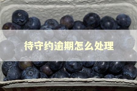 待守约逾期怎么处理