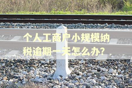 个人工商户小规模纳税逾期一天怎么办？