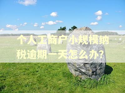 个人工商户小规模纳税逾期一天怎么办？