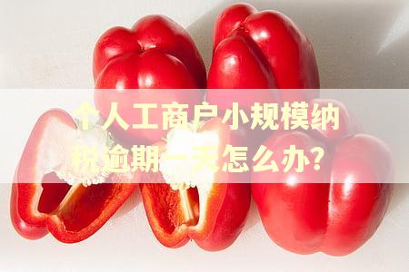 个人工商户小规模纳税逾期一天怎么办？
