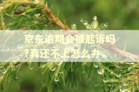 京东逾期会被起诉吗?真还不上怎么办 京东逾期会被起诉吗?真还不上怎么办