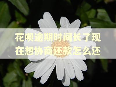 花呗逾期时间长了现在想协商还款怎么还