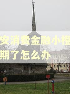 平安消费金融小橙花逾期了怎么办