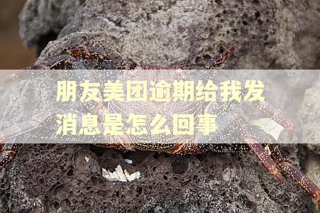 朋友美团逾期给我发消息是怎么回事