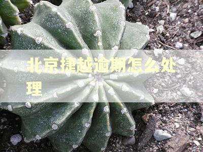北京捷越逾期怎么处理