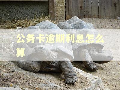 公务卡逾期利息怎么算