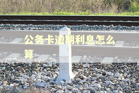 公务卡逾期利息怎么算