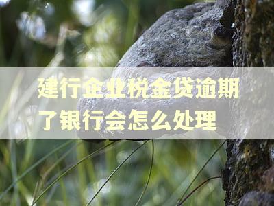 建行企业税金贷逾期了银行会怎么处理
