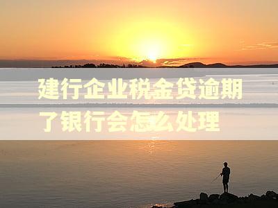 建行企业税金贷逾期了银行会怎么处理