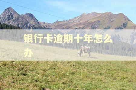 银行卡逾期十年怎么办