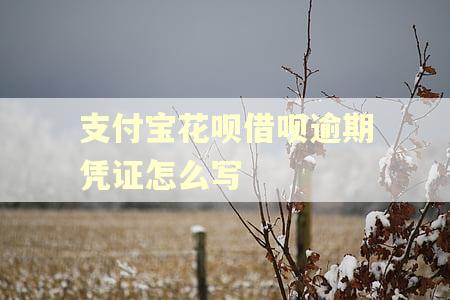 支付宝花呗借呗逾期凭证怎么写