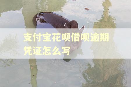 支付宝花呗借呗逾期凭证怎么写 支付宝花呗借呗逾期凭证怎么写