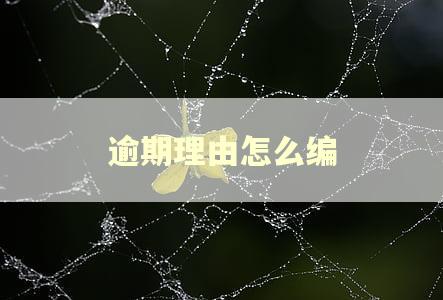逾期理由怎么编
