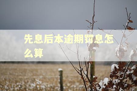 先息后本逾期罚息怎么算