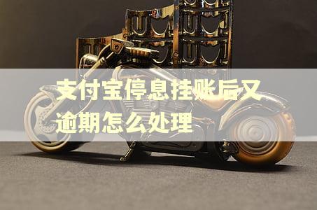 支付宝停息挂账后又逾期怎么处理