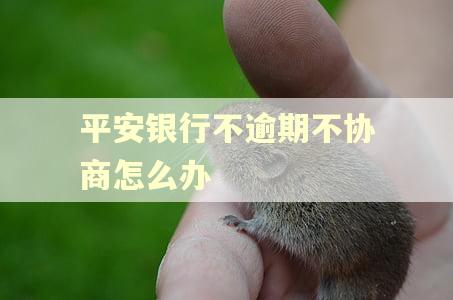 平安银行不逾期不协商怎么办