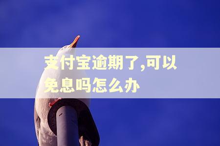 支付宝逾期了,可以免息吗怎么办