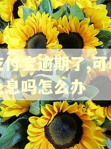 支付宝逾期了,可以免息吗怎么办