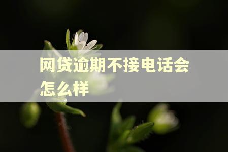 网贷逾期不接电话会怎么样