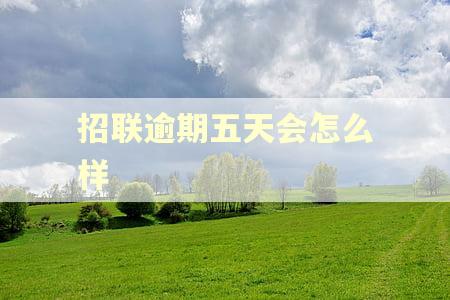 招联逾期五天会怎么样