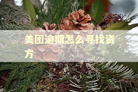 美团逾期怎么寻找资方