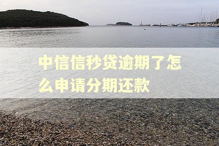 中信信秒贷逾期了怎么申请分期还款