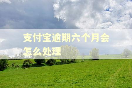 支付宝逾期六个月会怎么处理