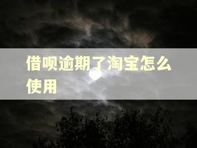 借呗逾期了淘宝怎么使用