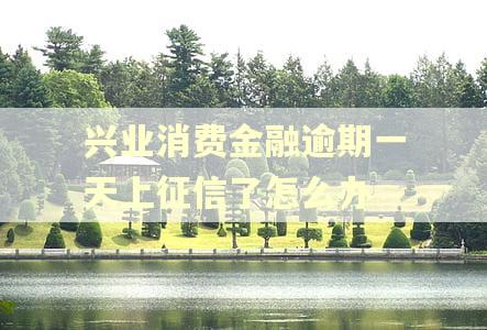 兴业消费金融逾期一天上征信了怎么办