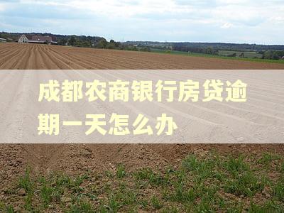 成都农商银行房贷逾期一天怎么办