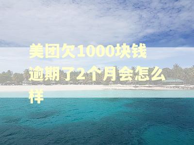 美团欠1000块钱逾期了2个月会怎么样