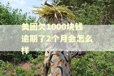 美团欠1000块钱逾期了2个月会怎么样