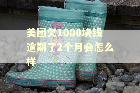 美团欠1000块钱逾期了2个月会怎么样